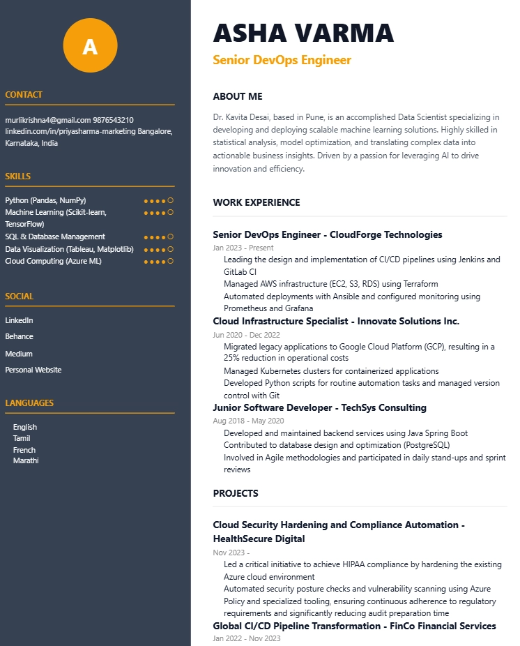 Infographic CV